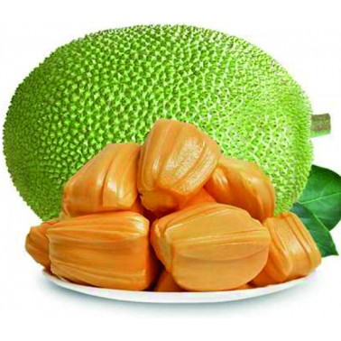 Cock Jackfruit Verde 565gr
